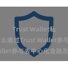 Trust Wallet私钥管理 怎么通过Trust Wallet参与去中心化金融左券？