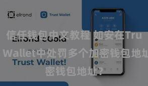 信任钱包中文教程 如安在Trust Wallet中处罚多个加密钱包地址？