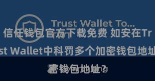 信任钱包官方下载免费 如安在Trust Wallet中科罚多个加密钱包地址？