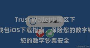 Trust Wallet中国区下载 信任钱包iOS下载指南，保险您的数字钞票安全